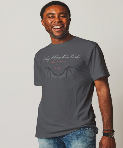 I.P.I.N.D.B: DEVIL IS A LIAR REGULAR CREW T-SHIRT